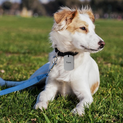 Personalisierte Tieranhänger