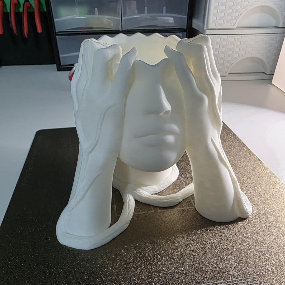 Vase "Gesicht in Händen" 3D gedruckt